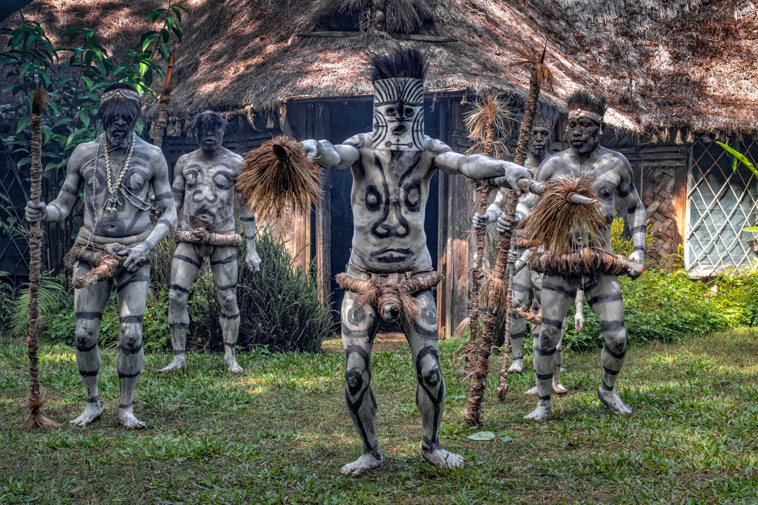 New Guinea Highlands REV-4.jpg