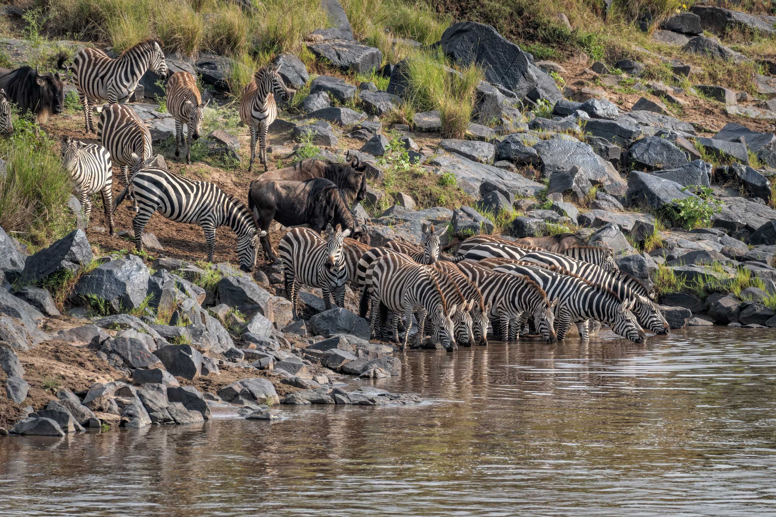 KENYA.GM-5.jpg