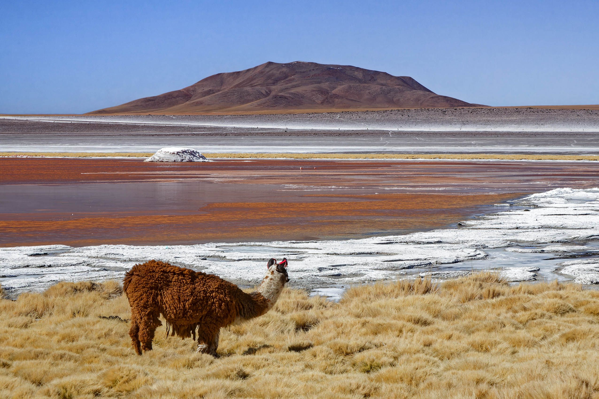 Altiplano-25.jpg