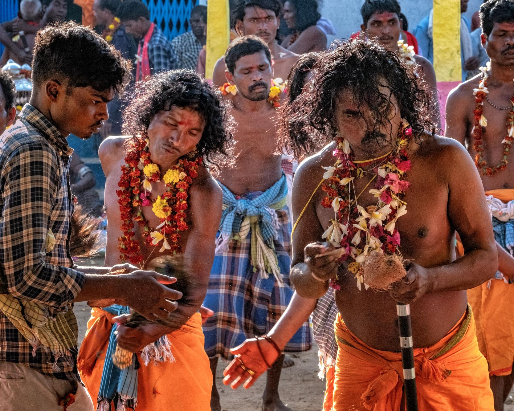 TRIBAL ODISHA AND CHHATTISGARH II:  Chhattisgarh’s Madai Festival