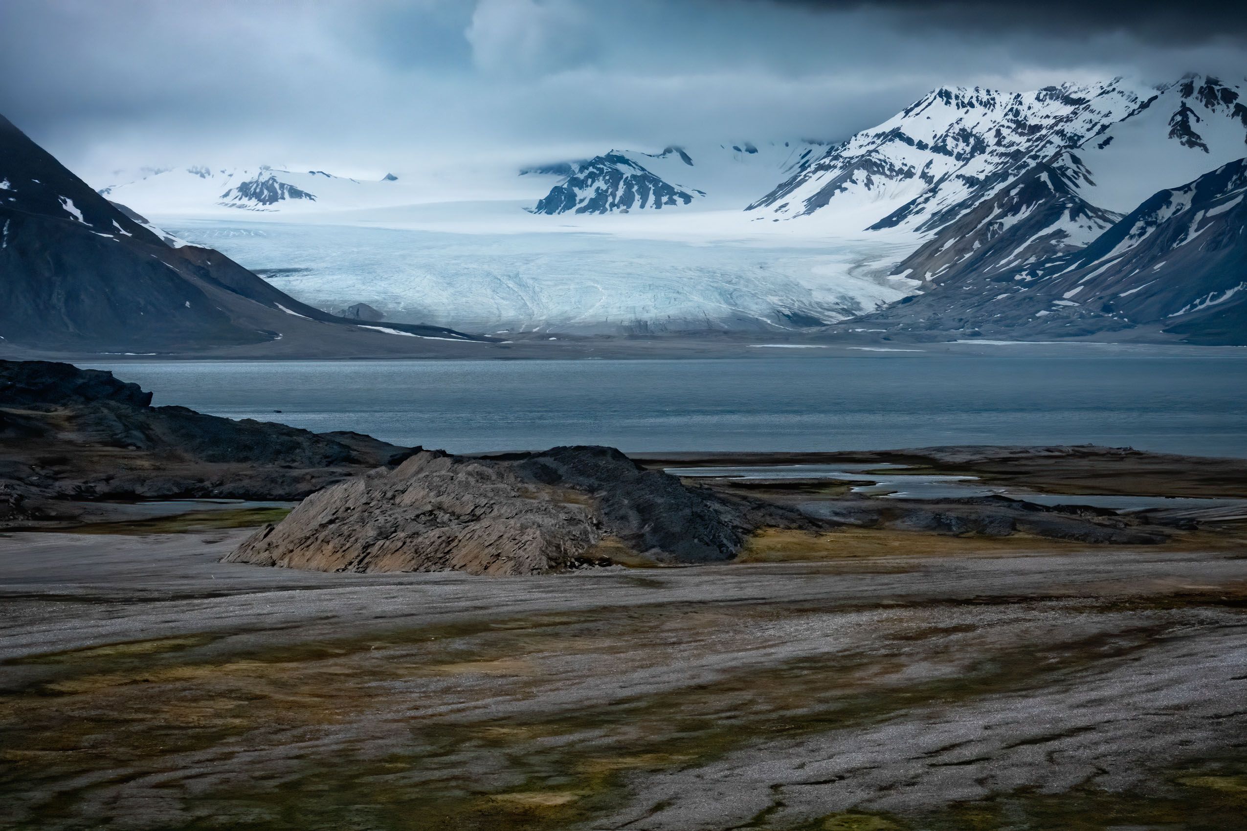 Arctic Landscapes, Icescapes, and Wildlife - LOUIS MONTROSE PHOTOGRAPHY