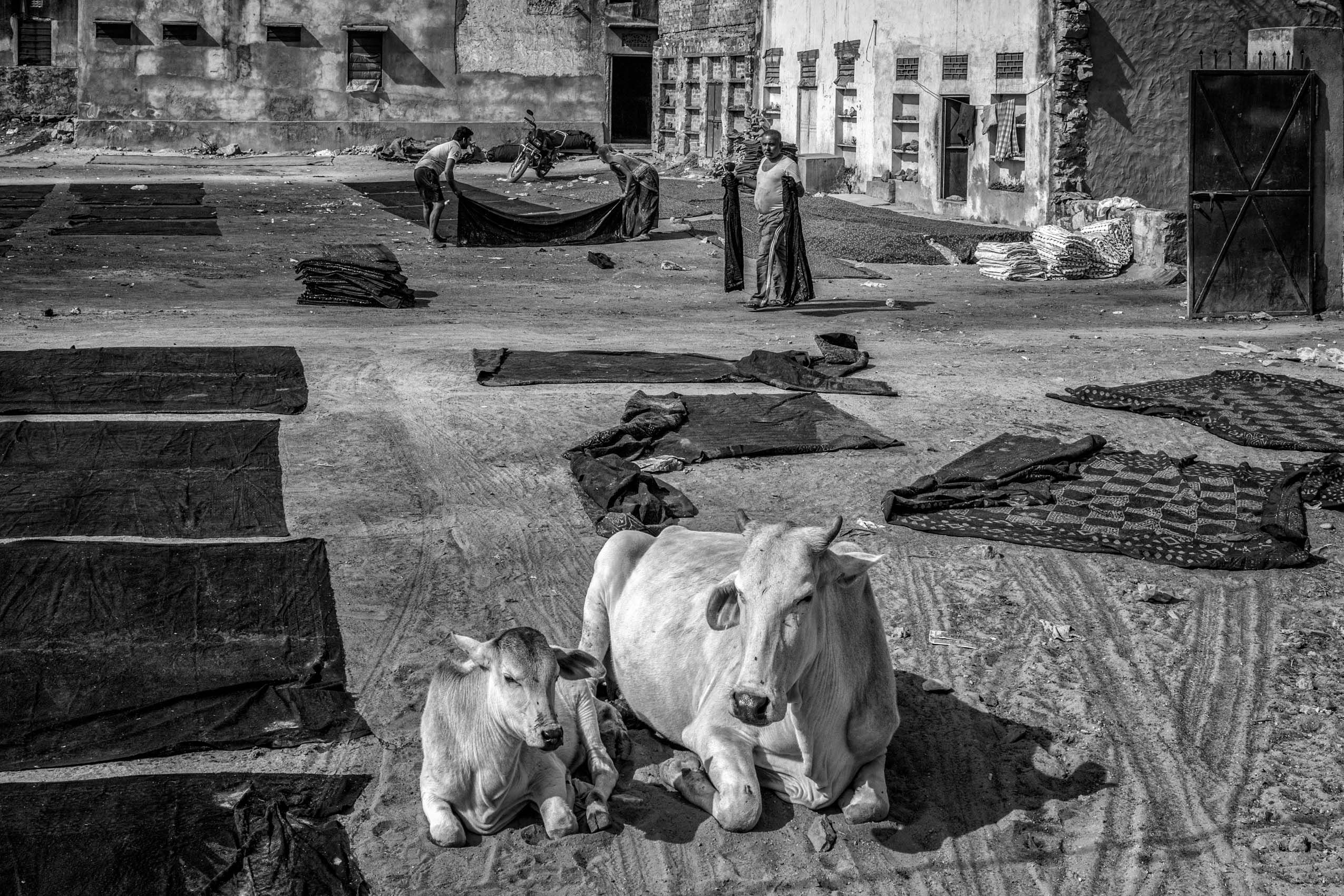 Indigo Cloth Dyeing Factory (Northern Rajasthan) work.textiles-17.jpg
