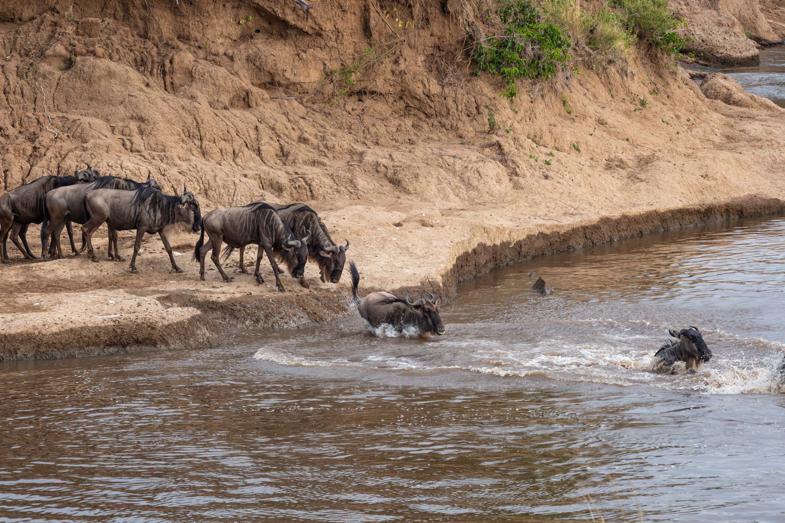 KENYA.GM-7.jpg