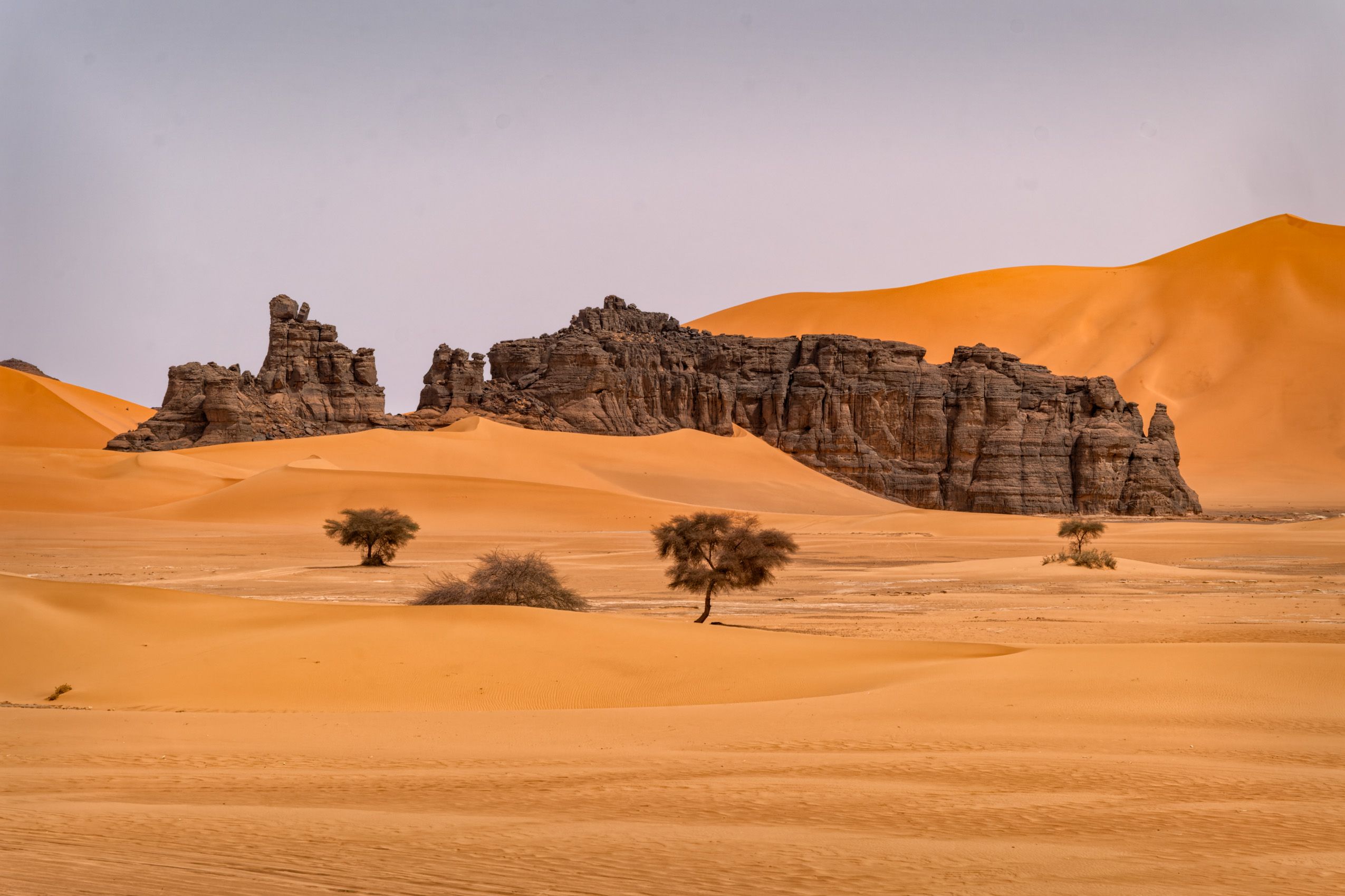 Algeria Sahara-4.jpg