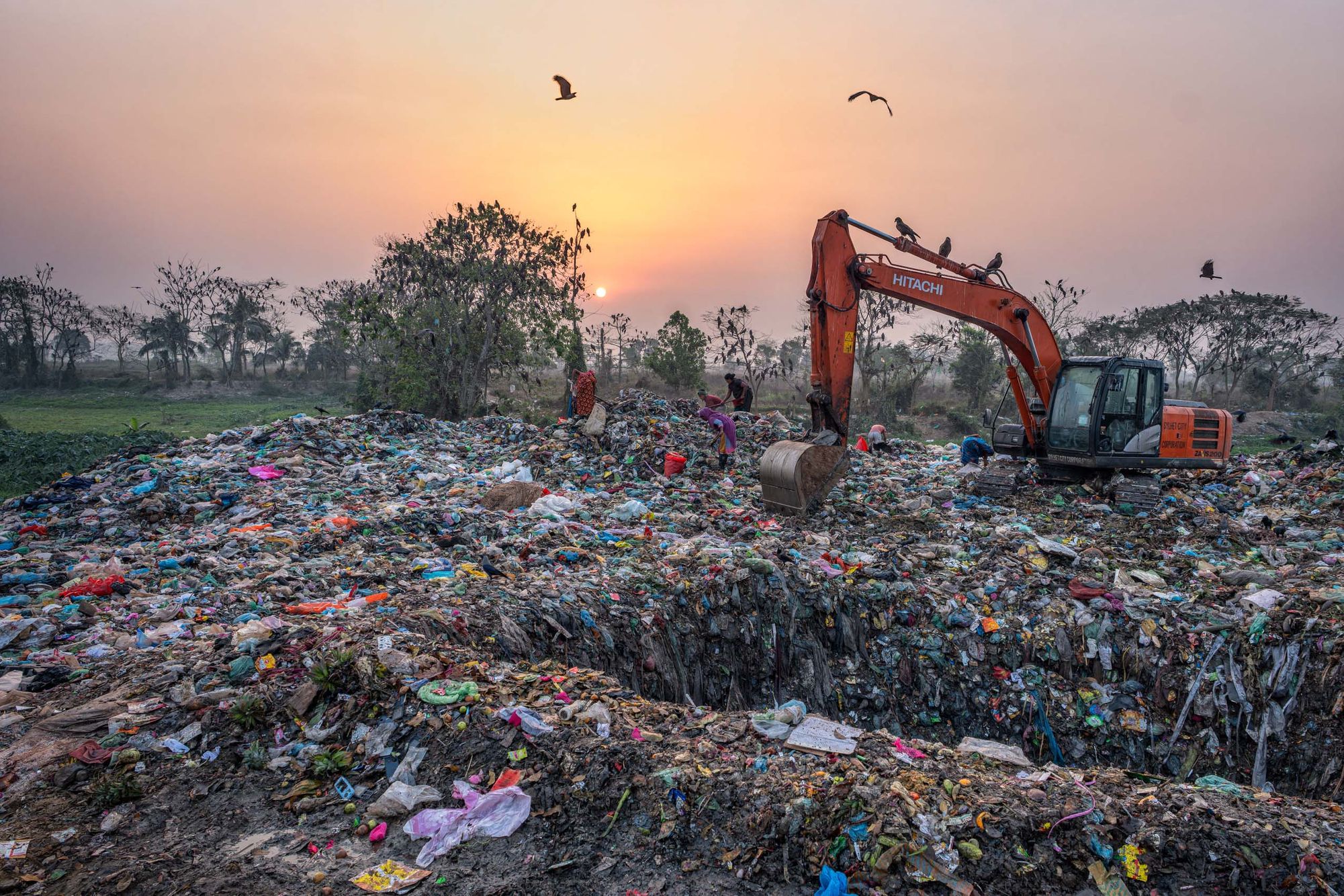 BANGLADESH:  Bangladeshis at Work—People and Birds at the Garbage Dump