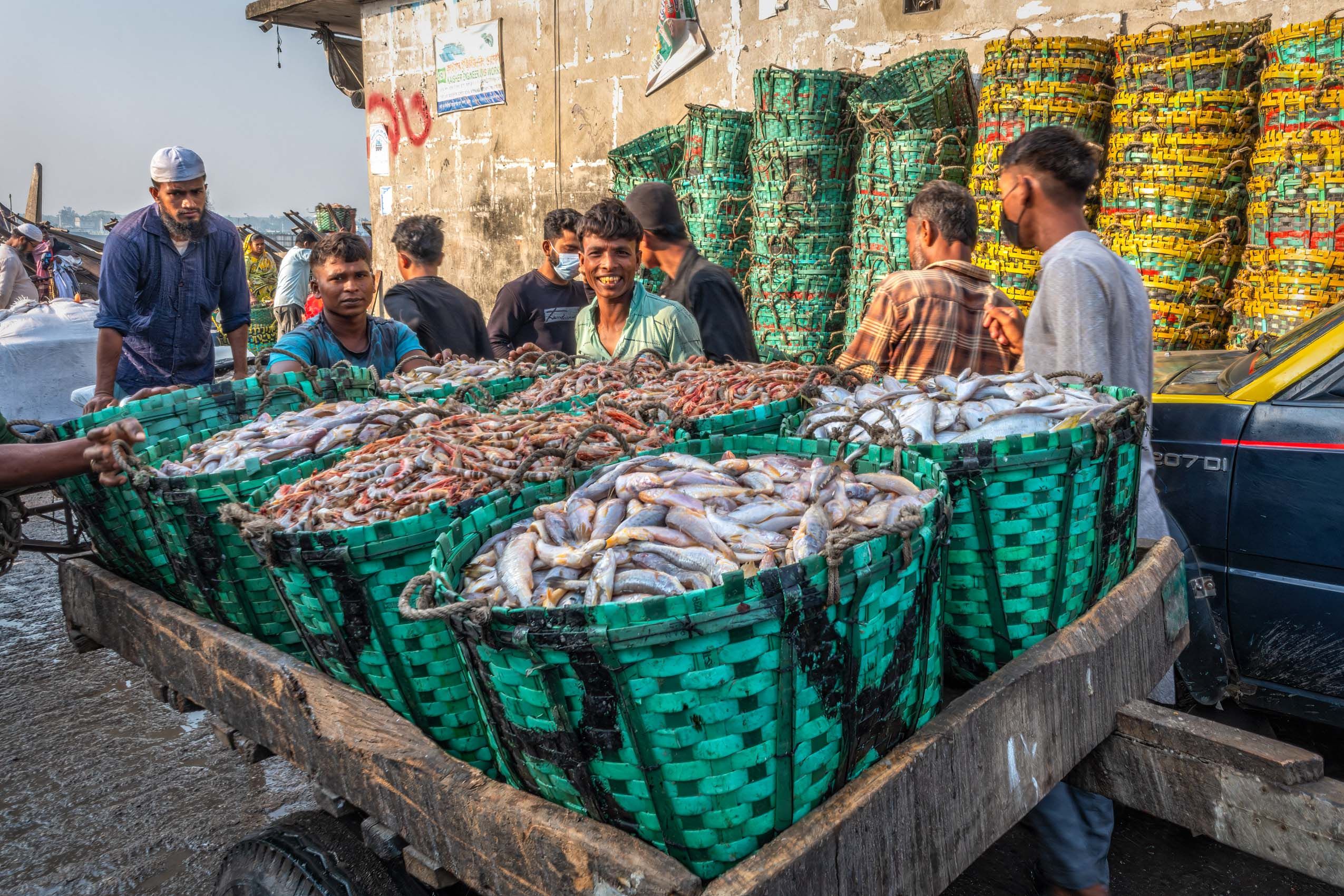 Fish-5.jpg
