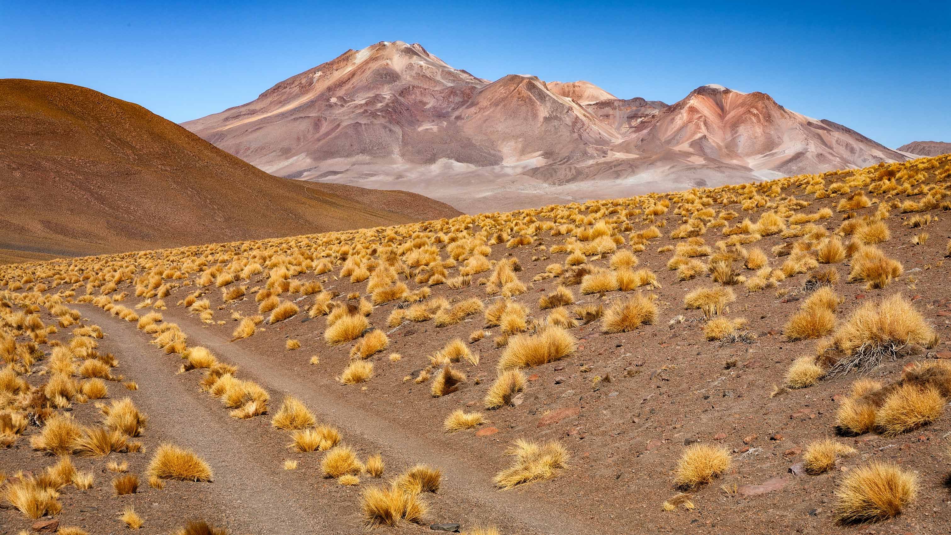 Altiplano-5.jpg