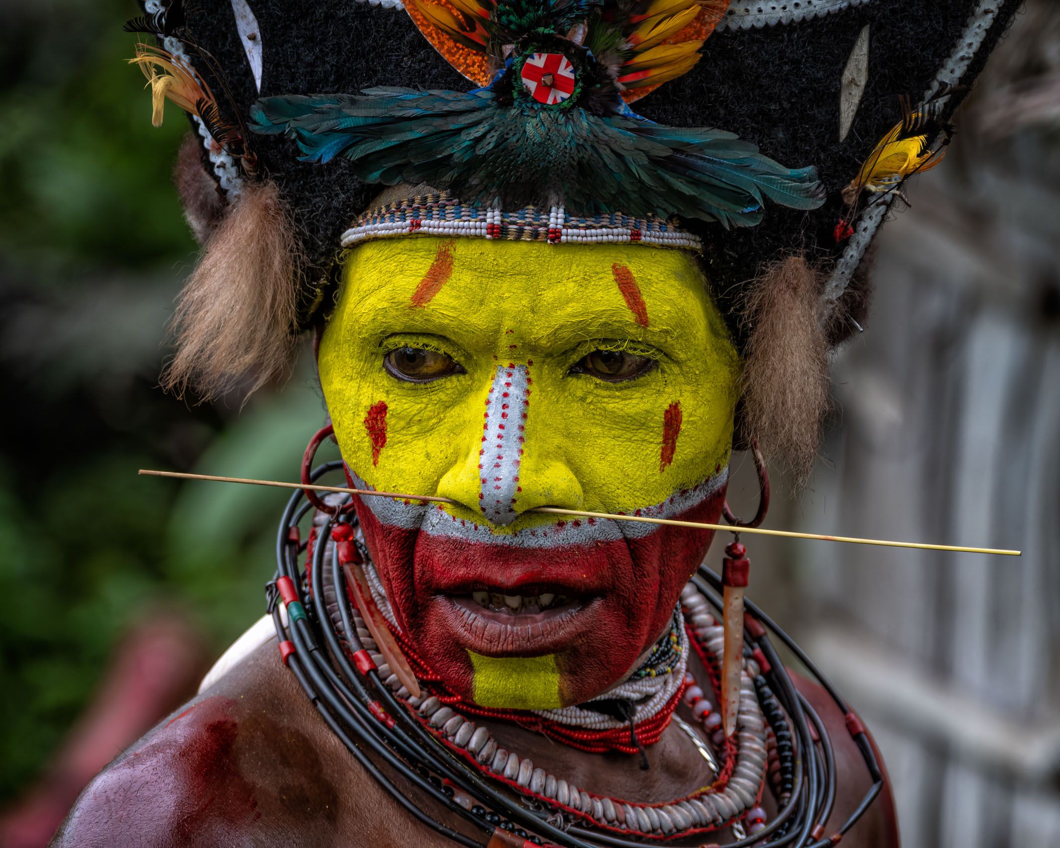 New Guinea Highlands-2.jpg