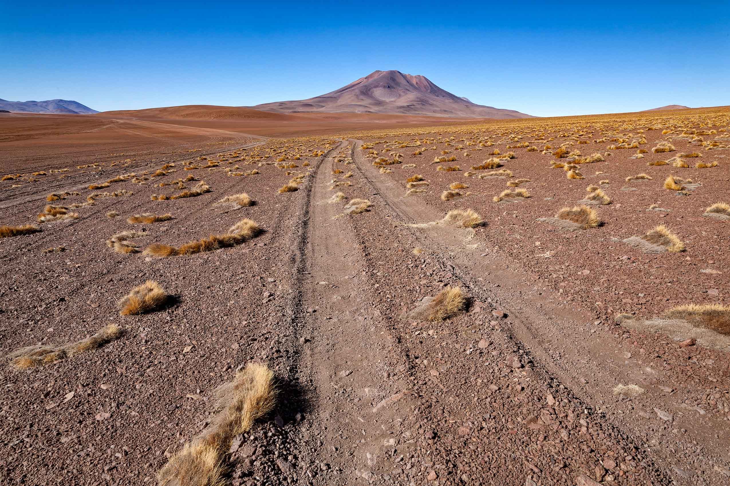 Altiplano-1.jpg