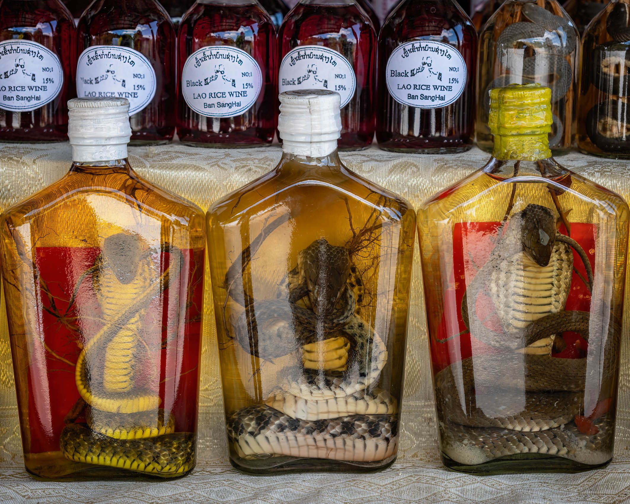 LAOS.People and Places-14.jpg