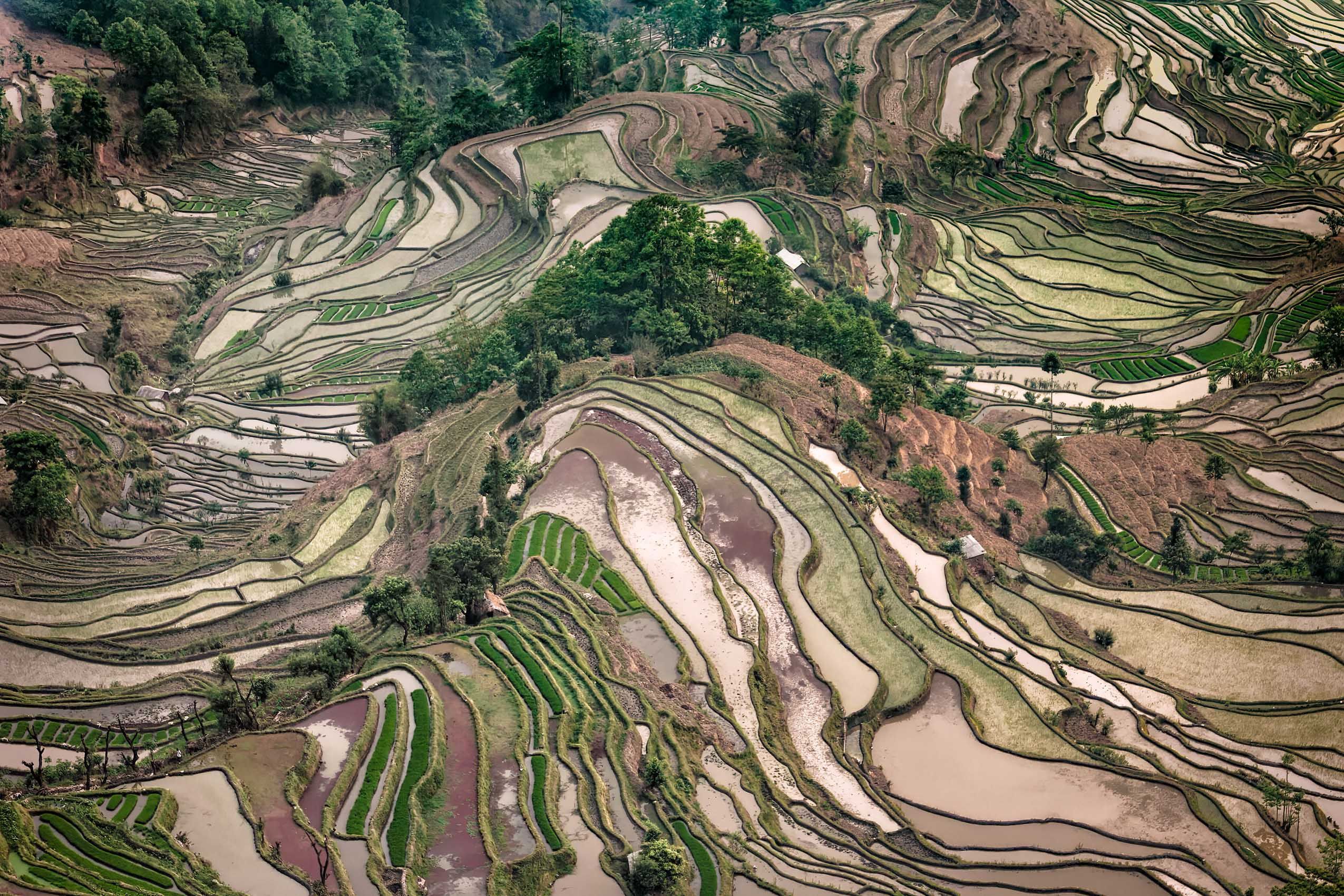 Yunnan.Terraces-6.jpg