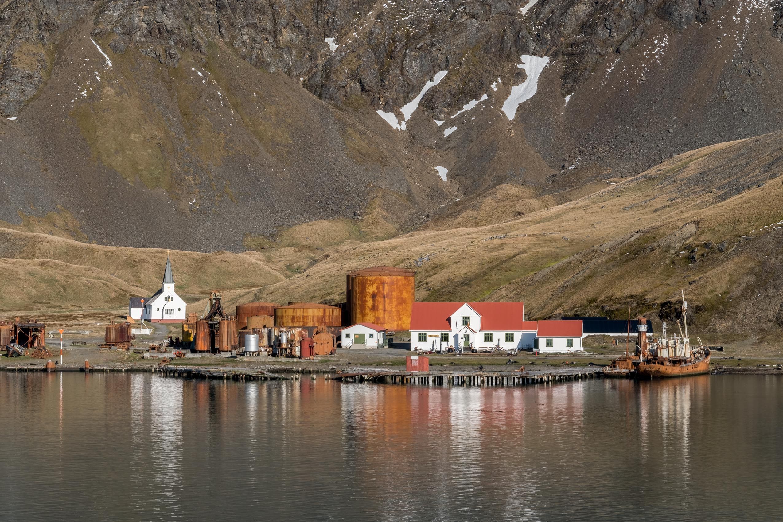 The Falklands/Las Malvinas  & South Georgia:  Cultural & Wildlife Landscapes