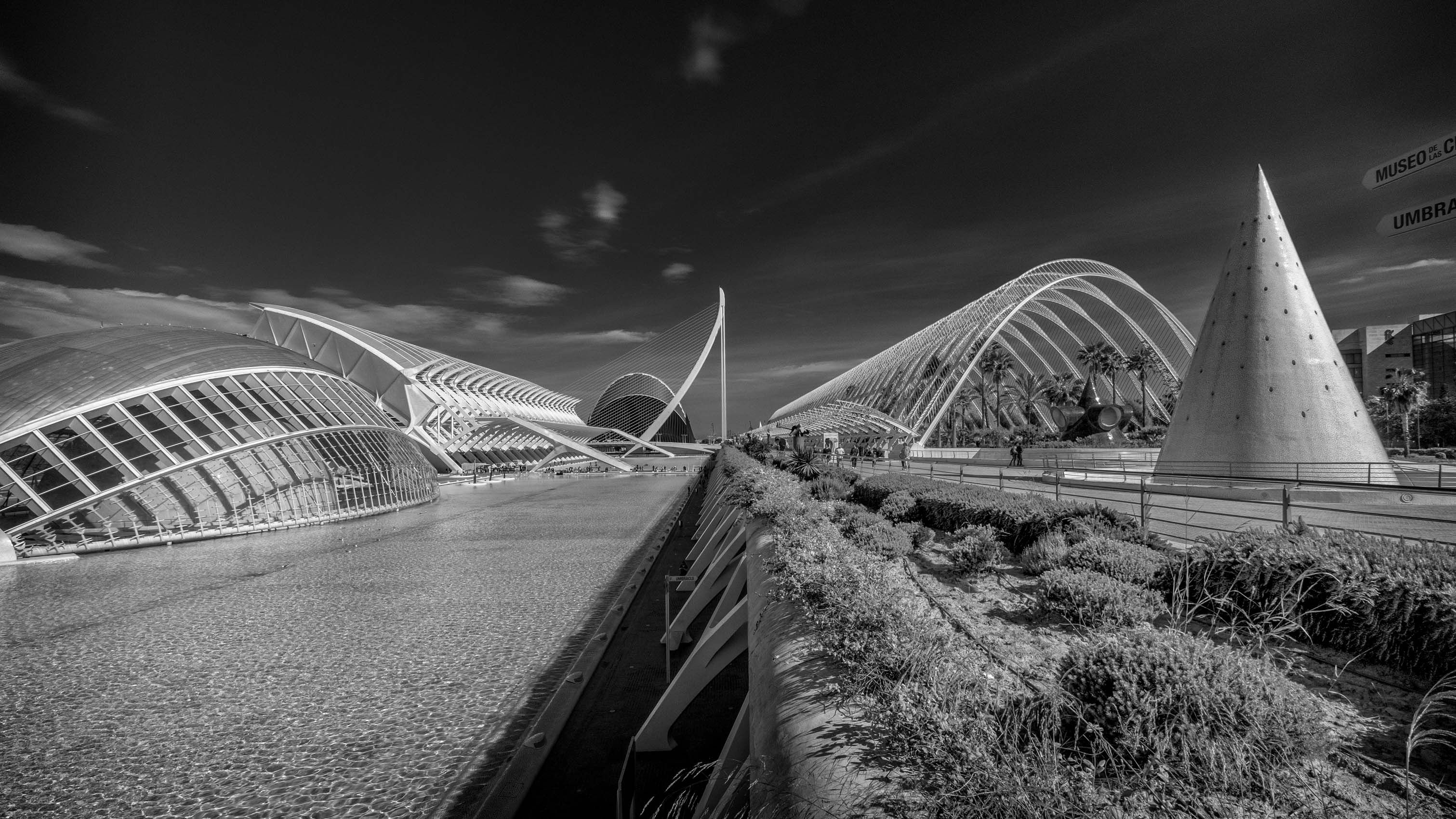 Montrose.-10.jpg