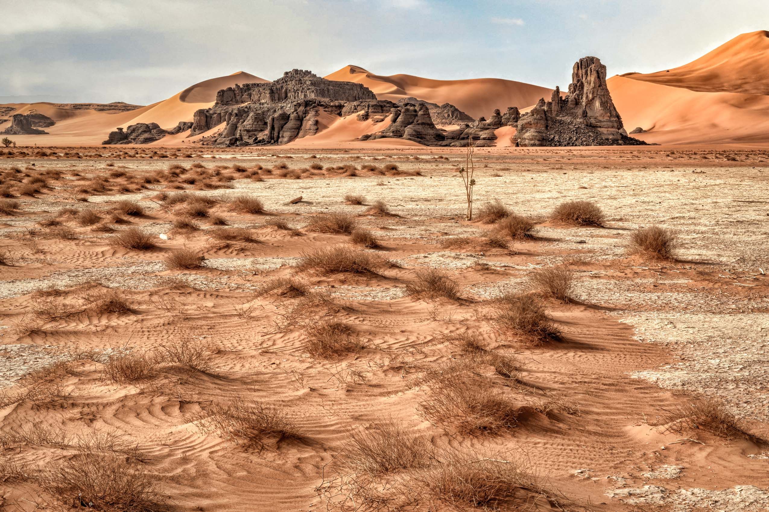 Algeria Sahara-8.jpg