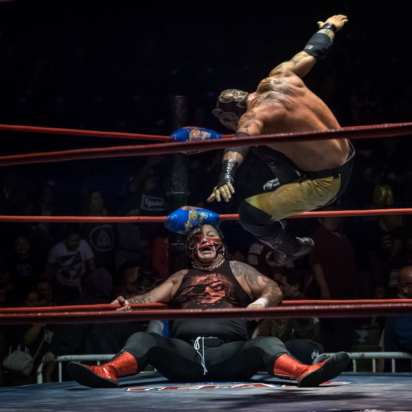 ¡Lucha Libre!