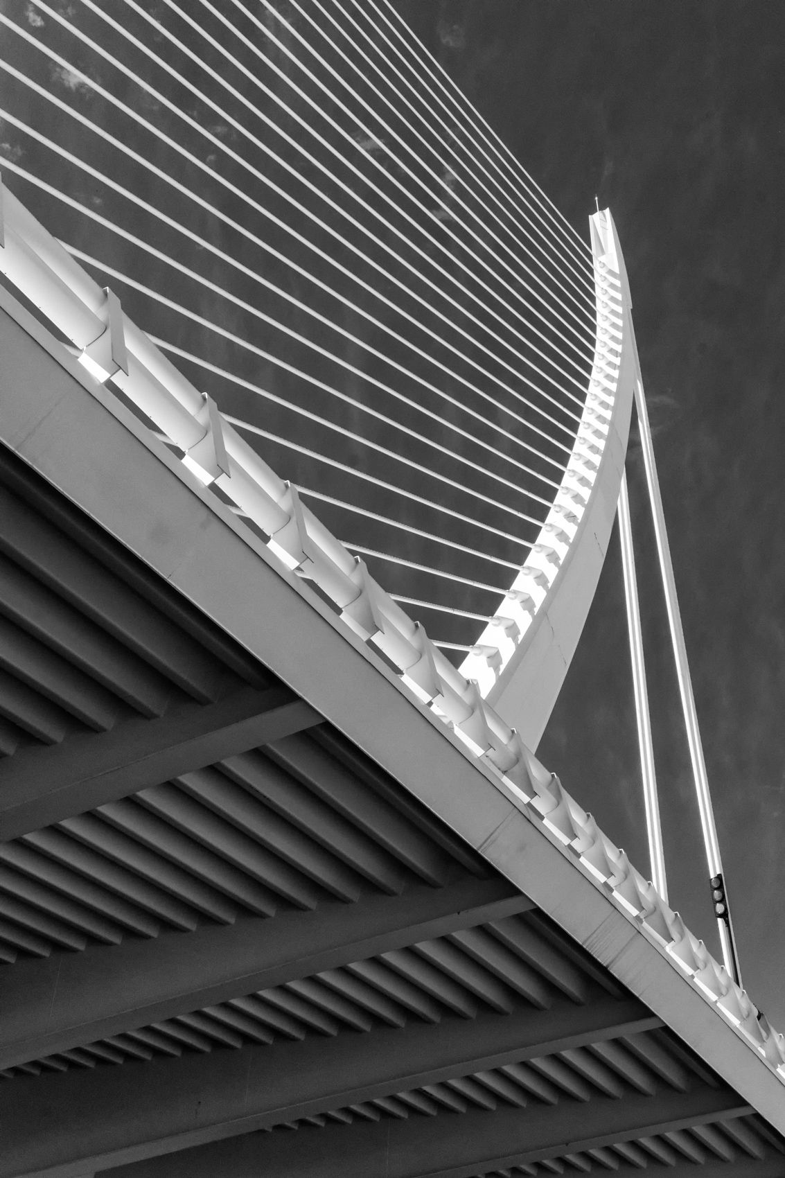 Montrose.-18.jpg