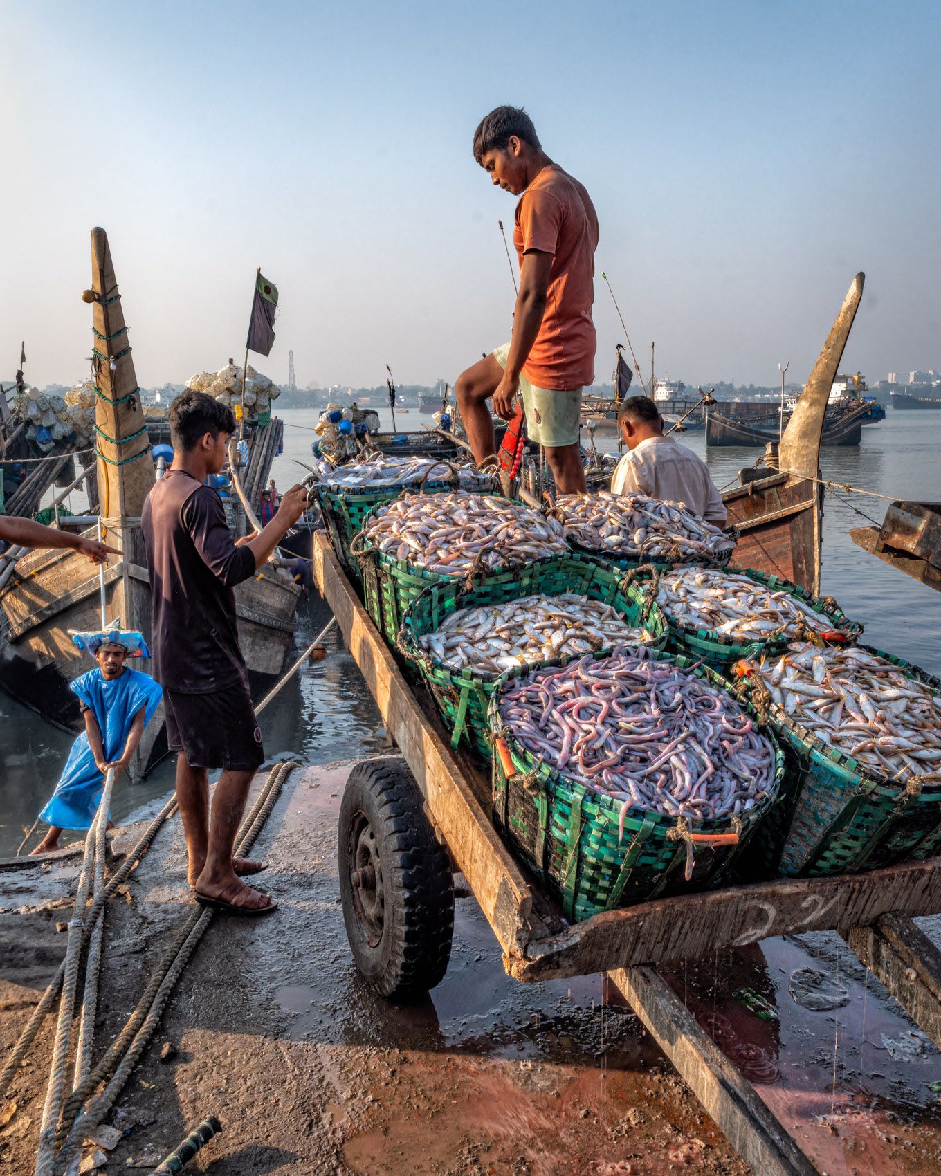 Fish-2.jpg