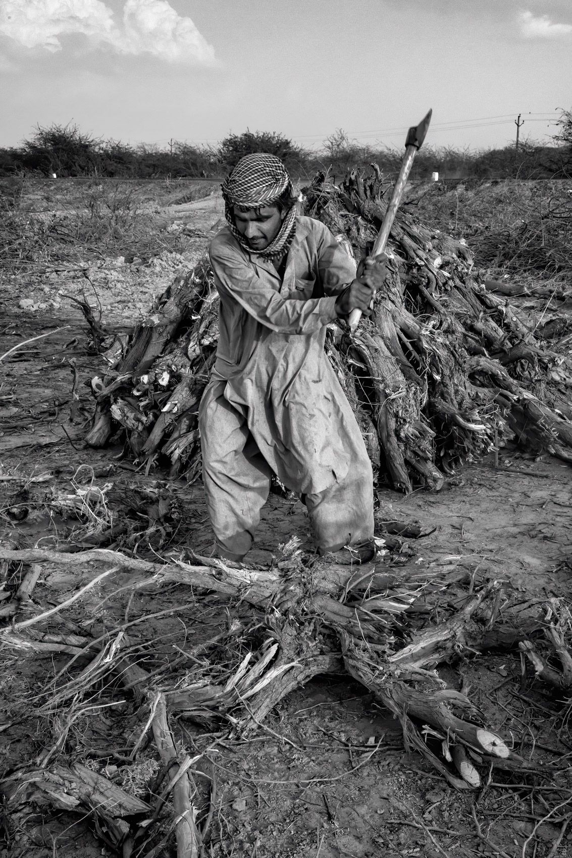 Chopping Firewood (Near Poshina, Gujarat) work.laborers-15.jpg
