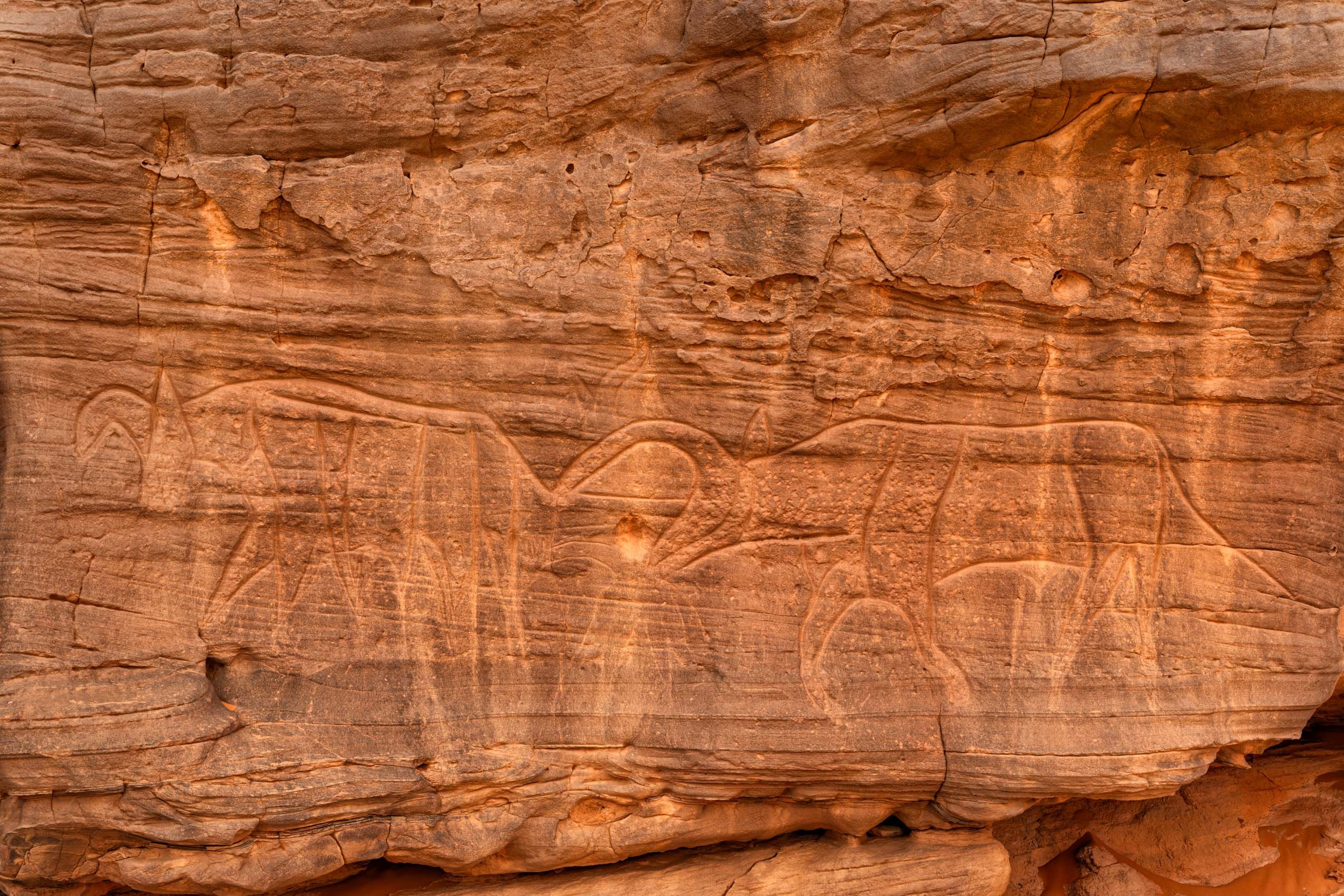 Algeria Sahara-19.jpg