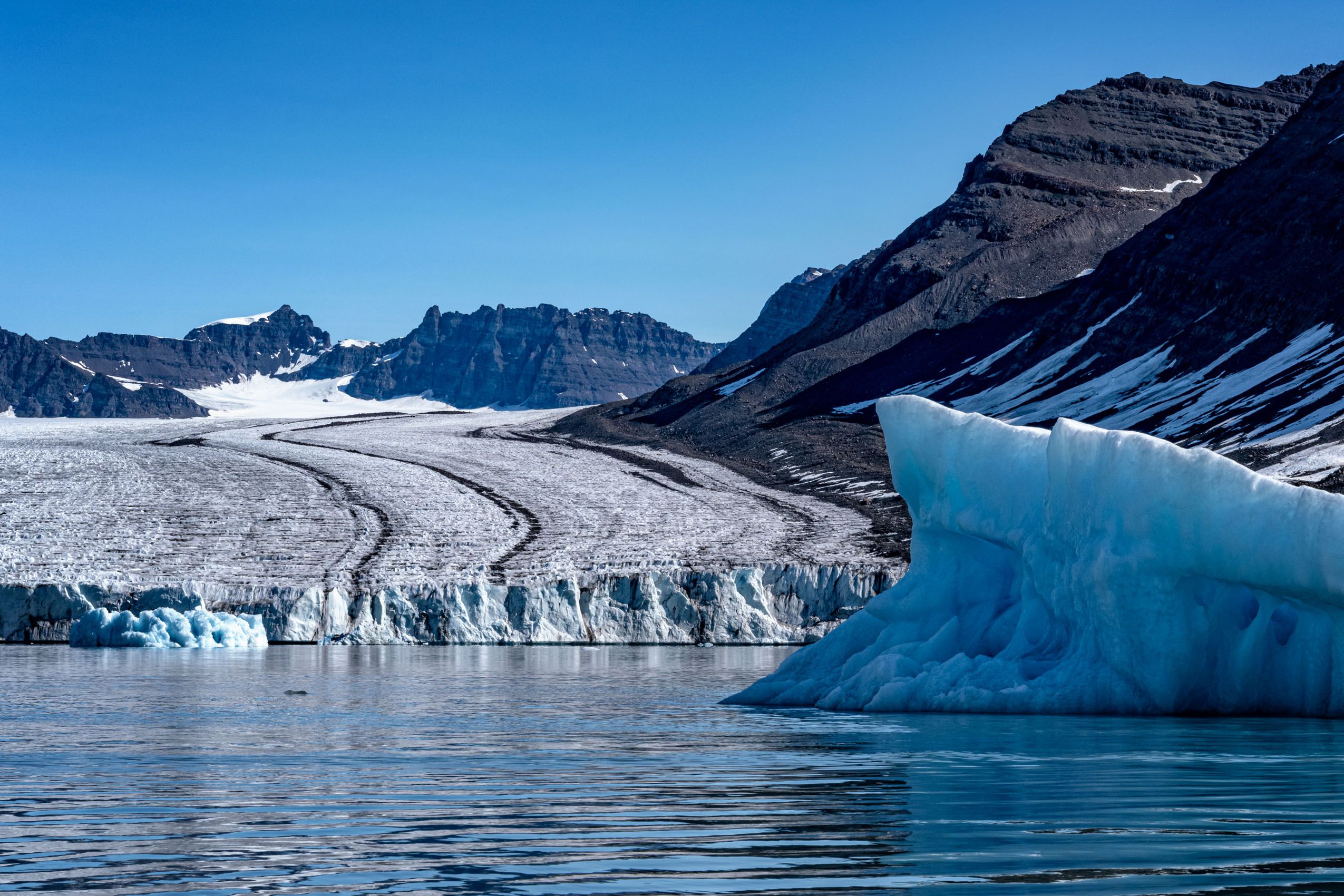 Arctic Landscapes, Icescapes, and Wildlife - LOUIS MONTROSE PHOTOGRAPHY