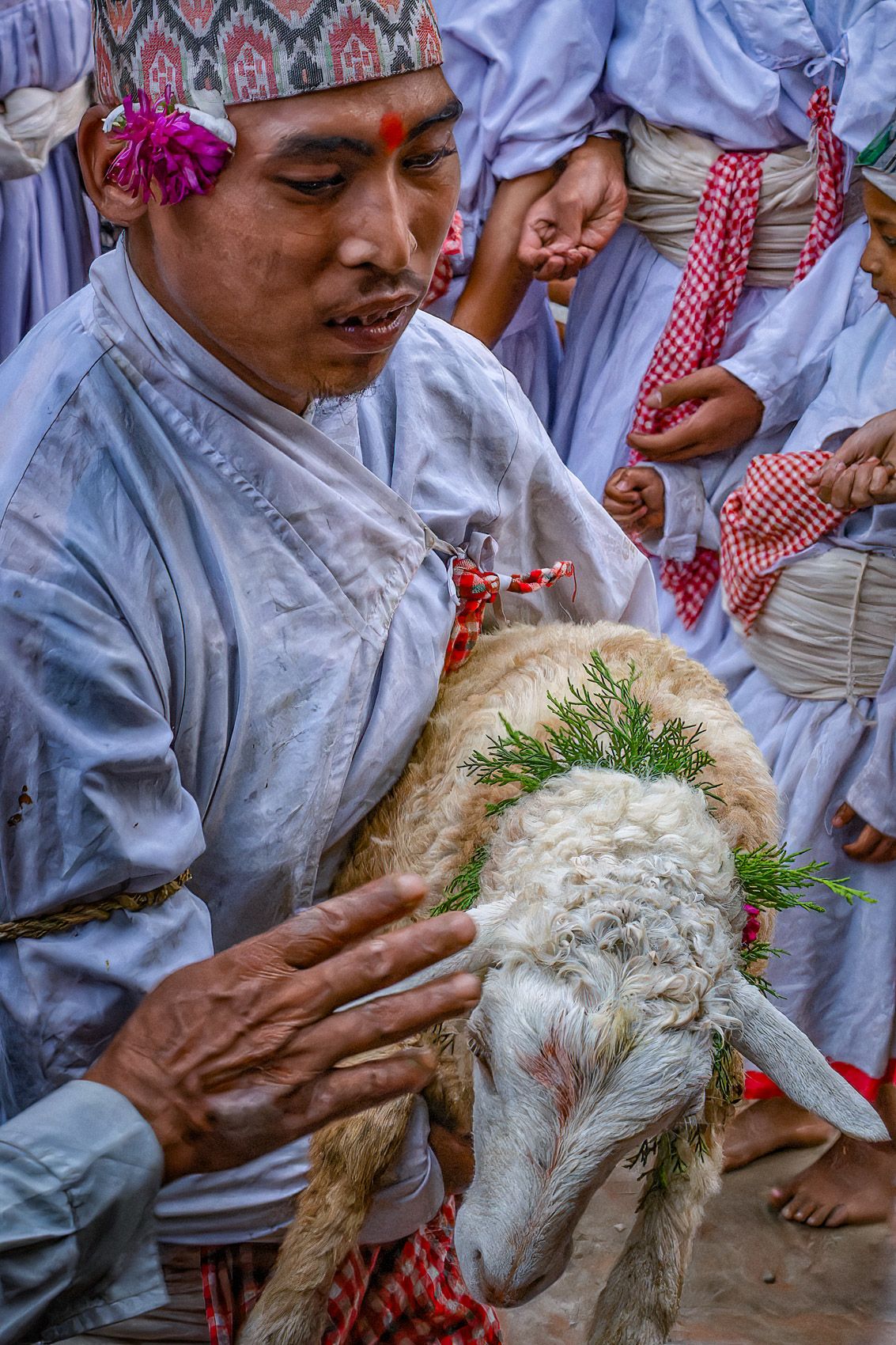 kumnh-4.jpg