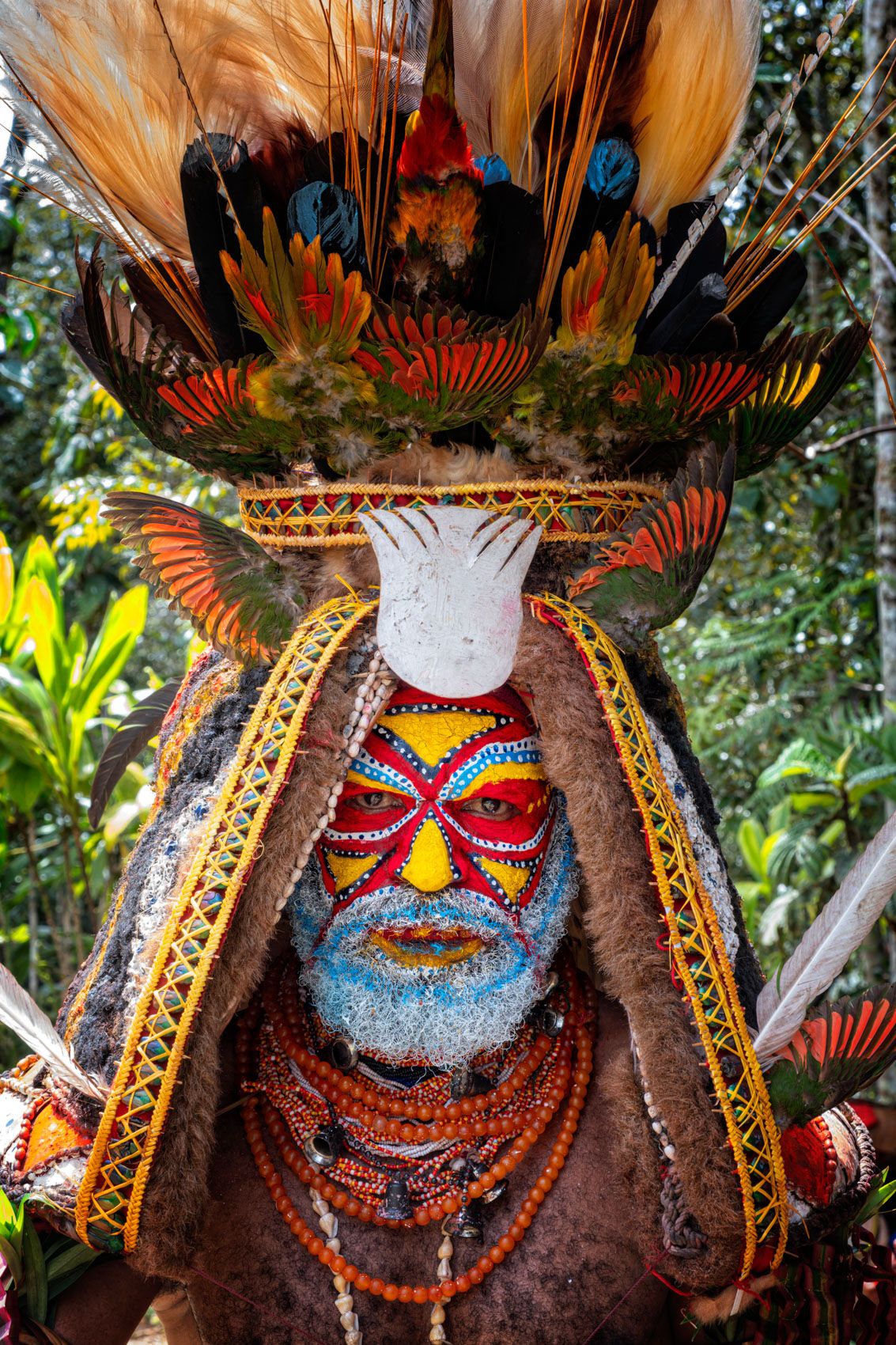 New Guinea Highlands-12.jpg