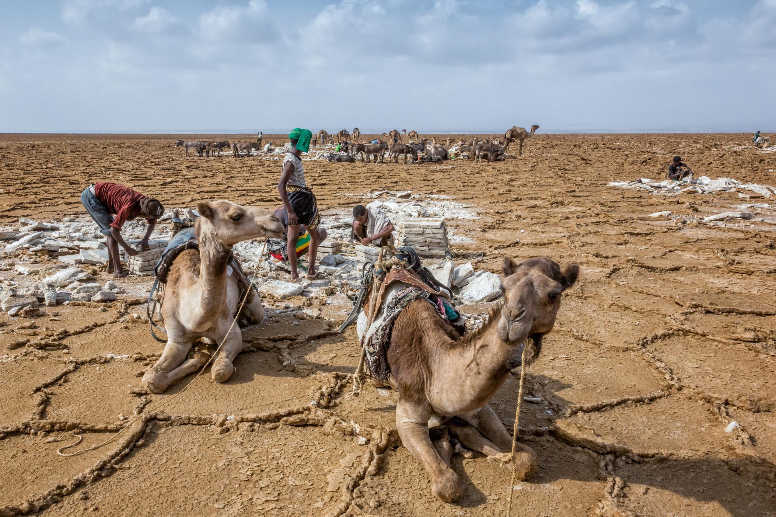 ETHIOPIA:  Into the Afar