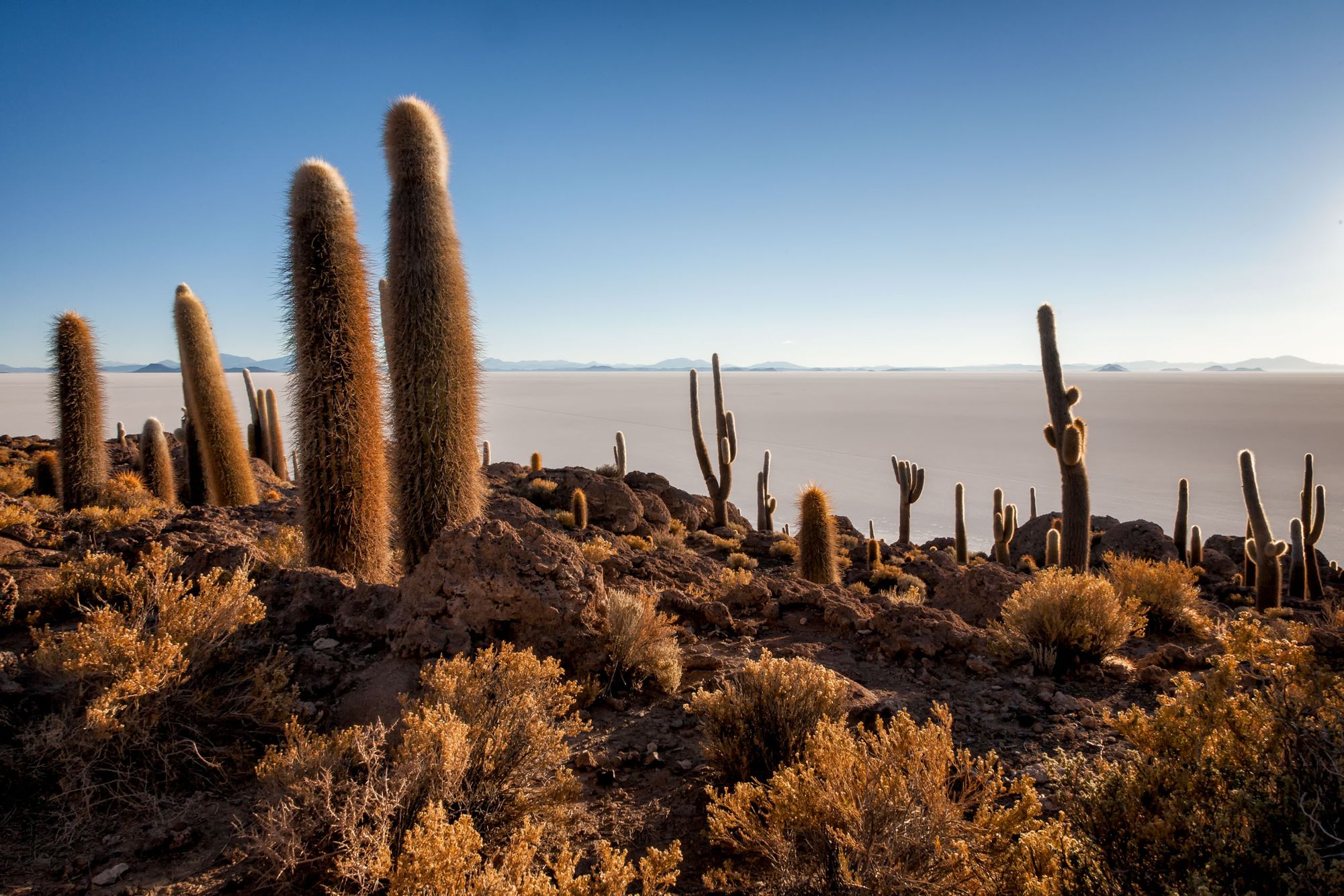 BOLIVIA & CHILE:  El Altiplano