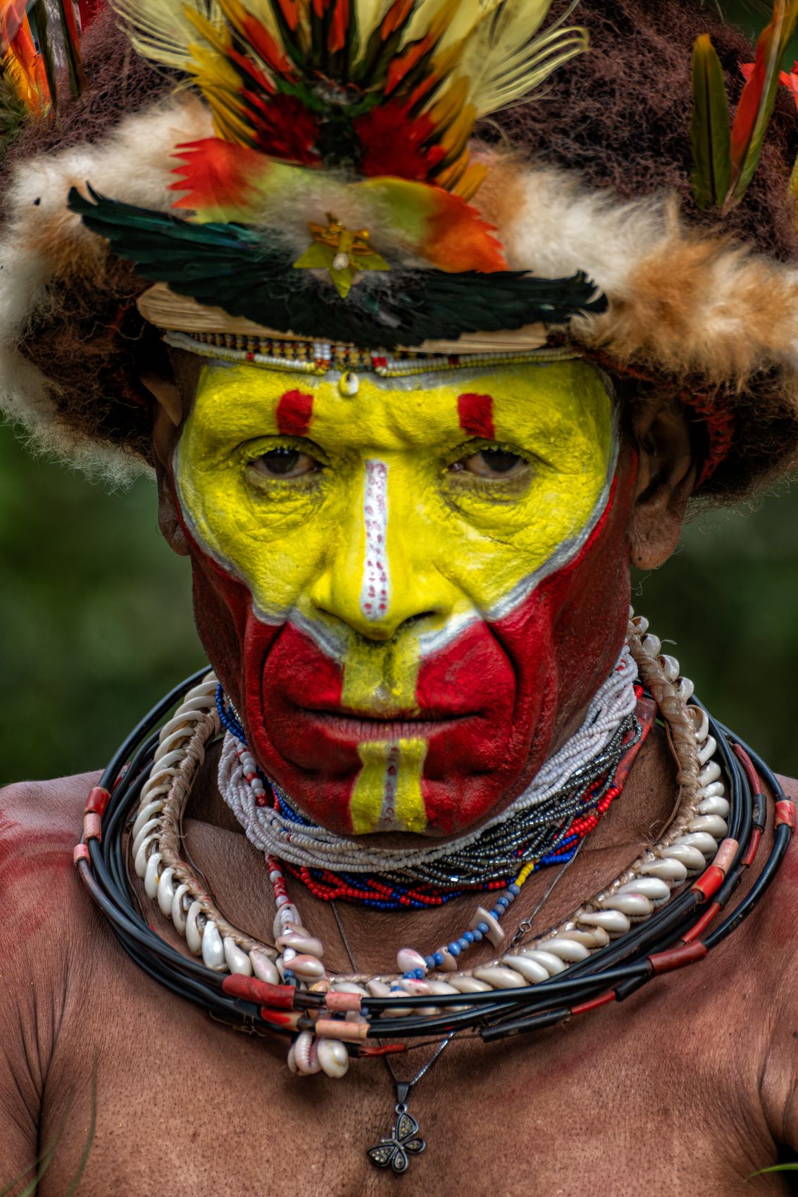 New Guinea Highlands-5.jpg