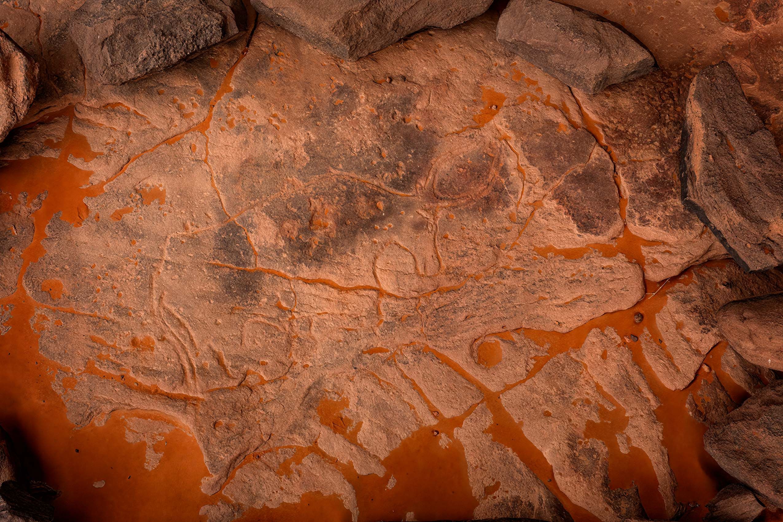 Algeria Sahara-15.jpg
