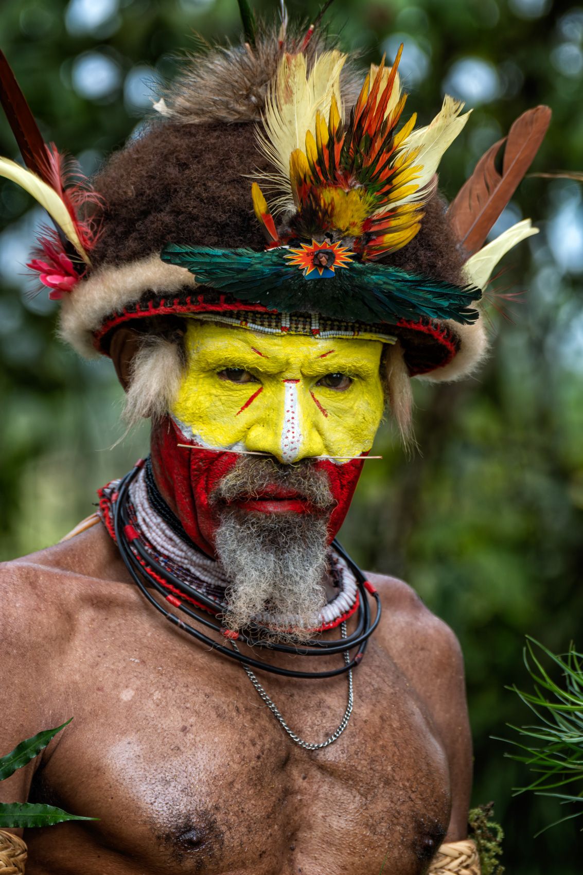 New Guinea Highlands-4.jpg