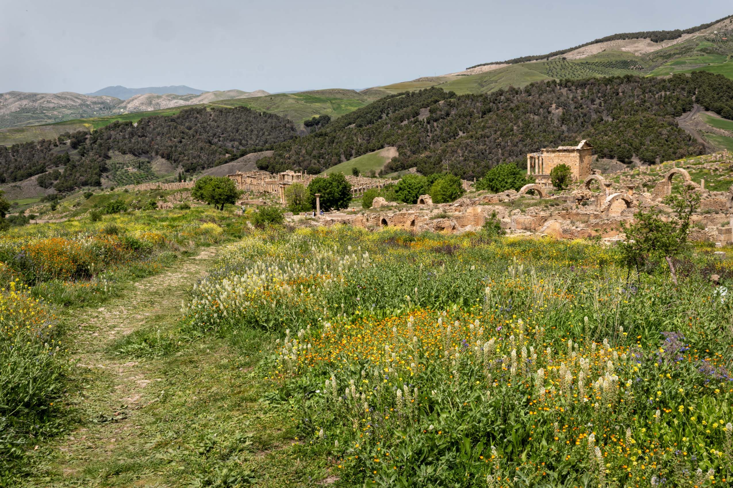 Algeria Antiquities-11.jpg
