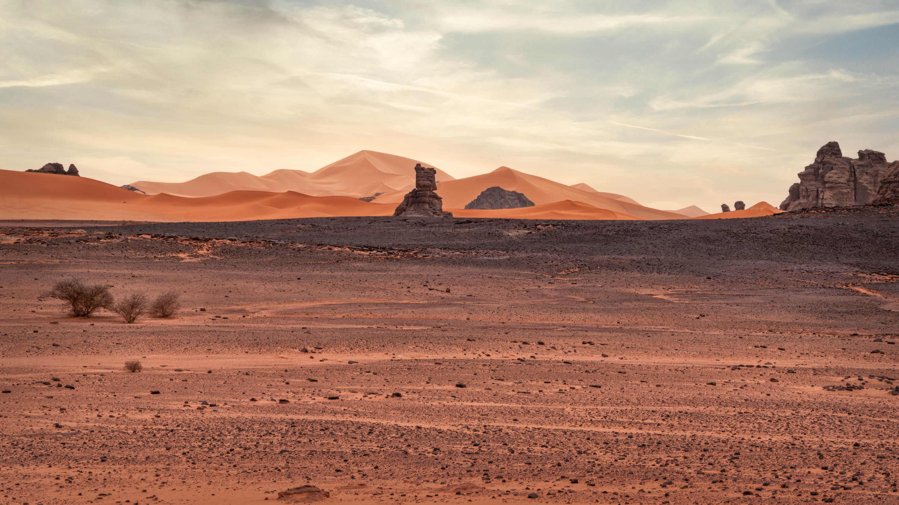 Algeria Sahara-17.jpg