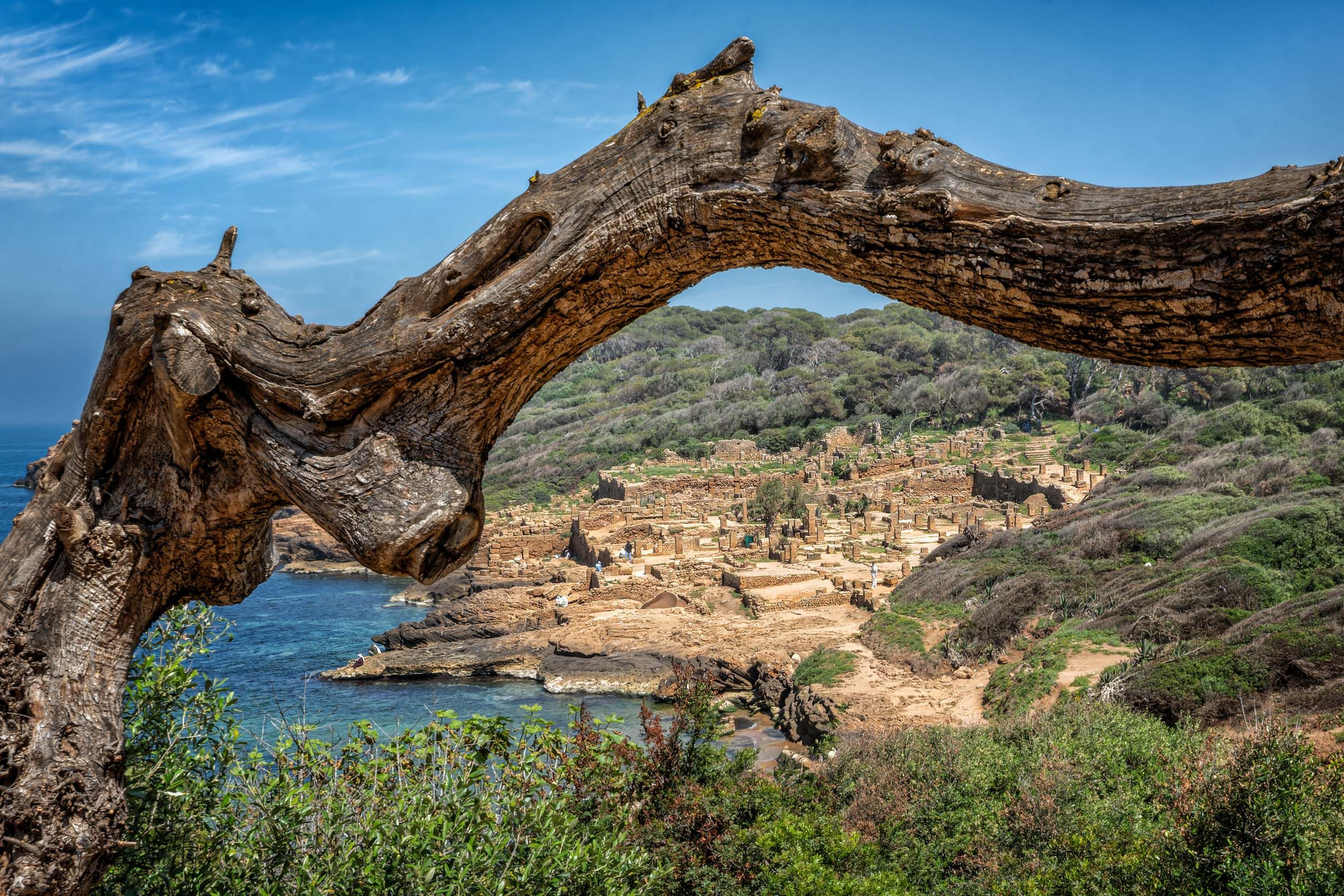 Algeria Antiquities-13.jpg