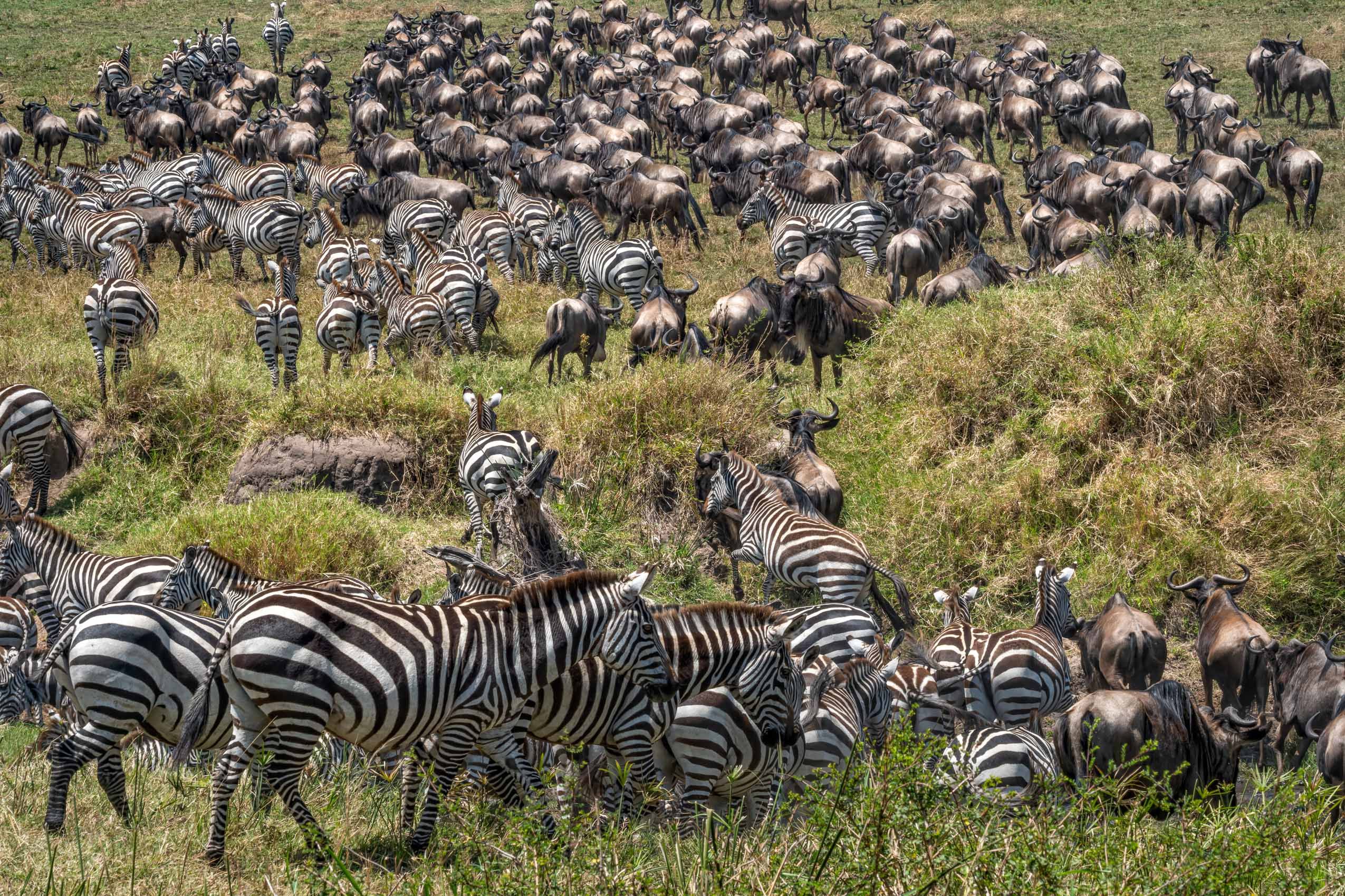 KENYA.GM-3.jpg