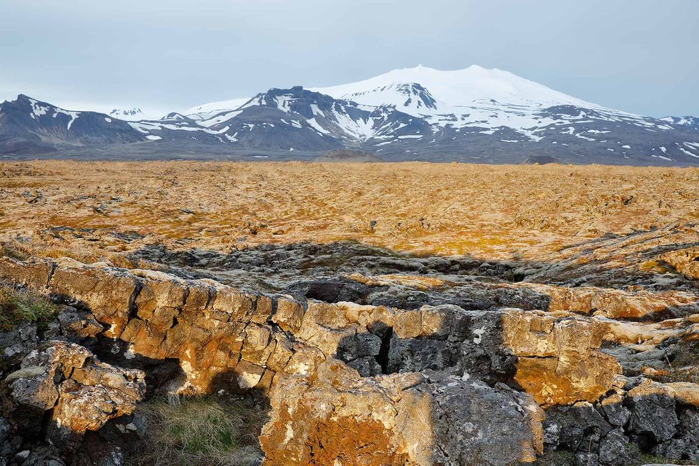 Lava-field-and-Snaefellsjokull_S6A7111-Skardavik,-West-Iceland.jpg