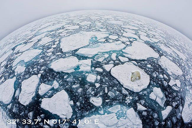 World-of-sea-ice-II-with-polar-bear-text_S6A3388-Sea-ice-at-82-degree-North-Svalbard-Arctic.jpg