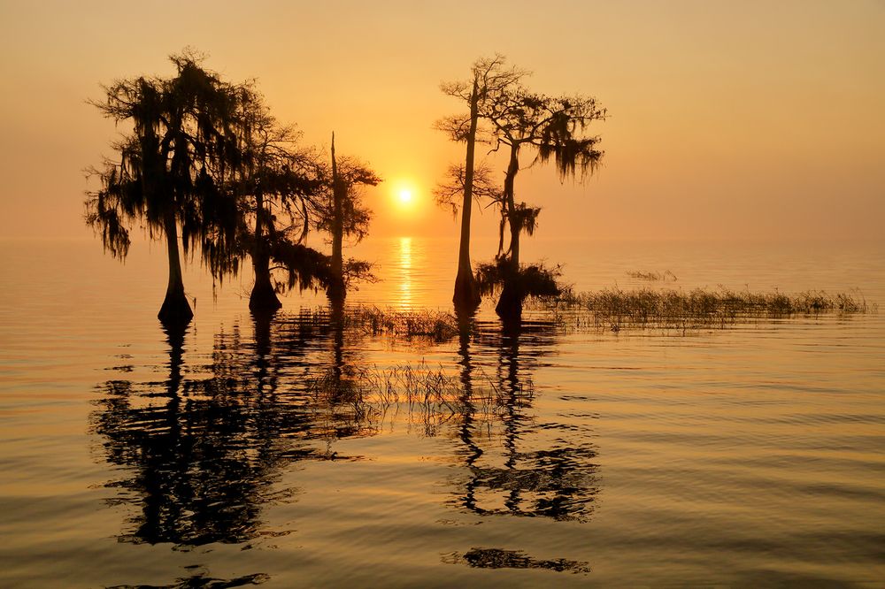 Sunrise in the mist_S6A0053-Lake Blue Cypress, FL, USA.jpg