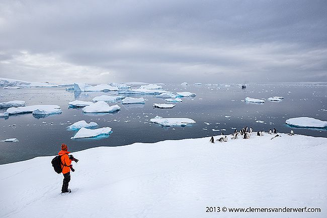 Photographer-in-polar-landscape_B8R7324-Cuverville-Island-Antarctica.jpg