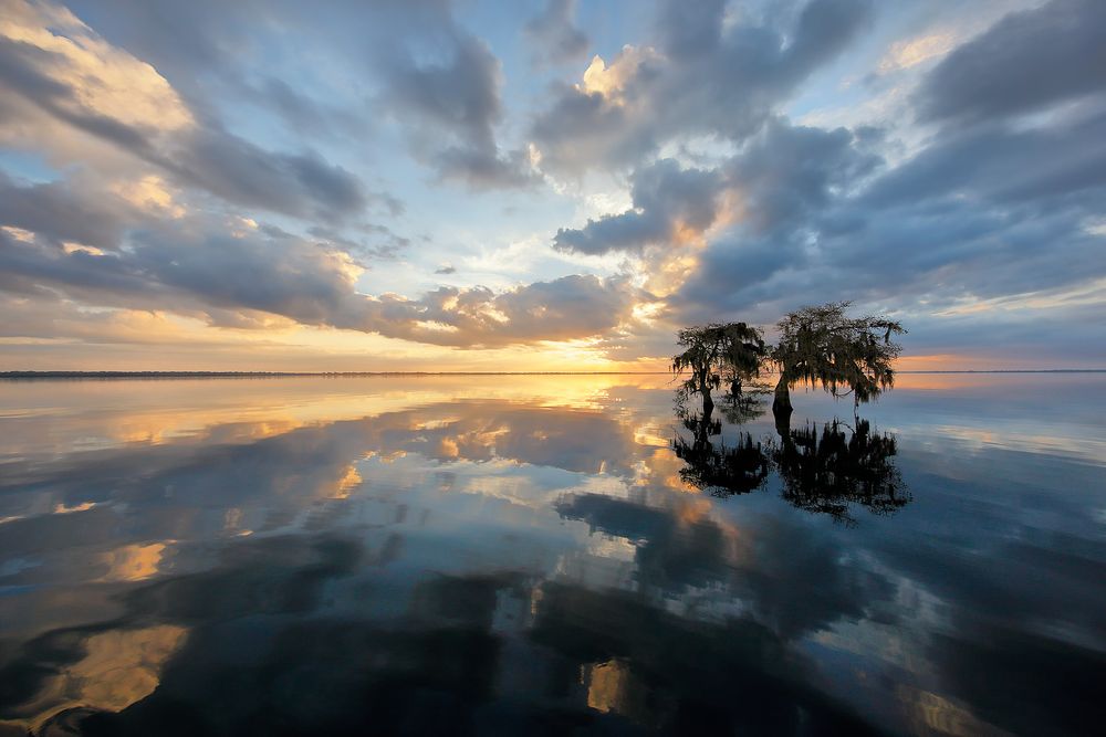 Sunrise at the lake_83A1724-Blue Lake Cypress, FL, USA.jpg