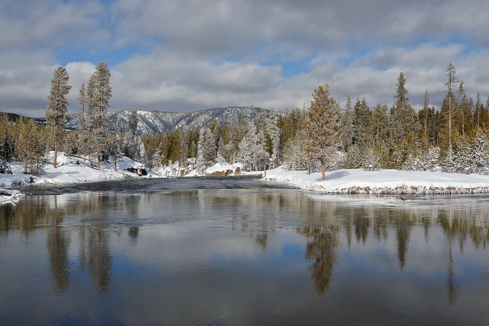 Reflections-in-the-Firehole-river_S6A5872-Yellowstone-National-Park,-WY,-USA.jpg