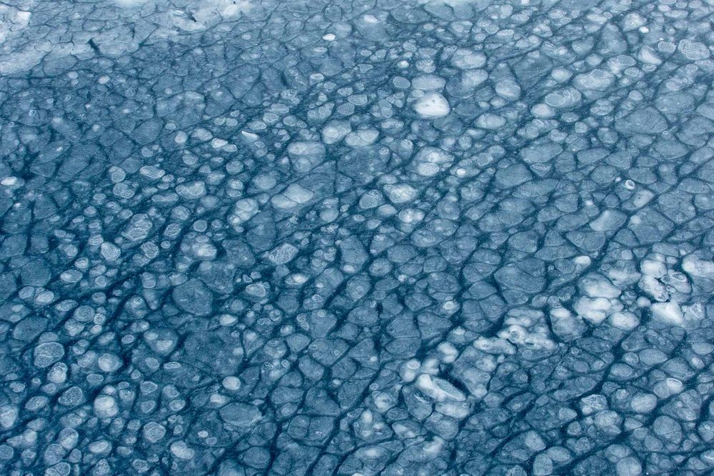 Pan-cake-ice-patterns_B8R5188-Sea-ice-at-82-degree-North,-Svalbard,-Arctic.jpg