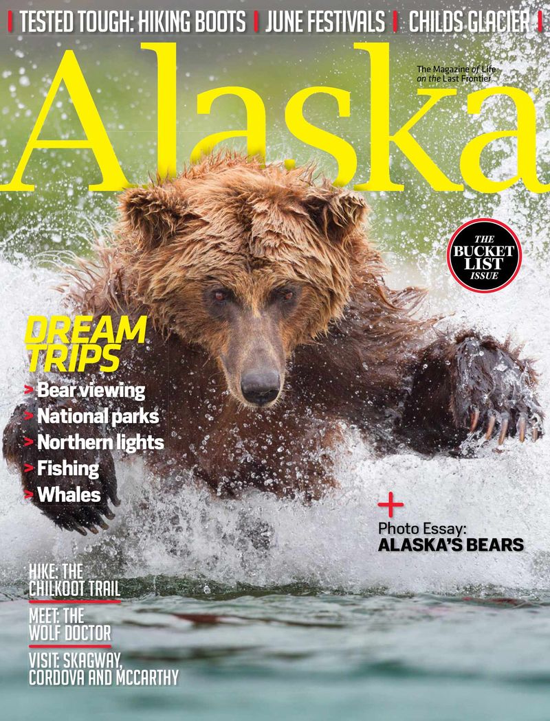 Continue to be bear aware this fall - New Mexico Wildlife magazine