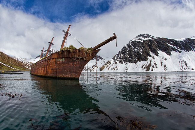 Shipwreck-at-Ocean-Harbour_E7T4512-Ocean-Harbour-South-Georgia-Islands.jpg