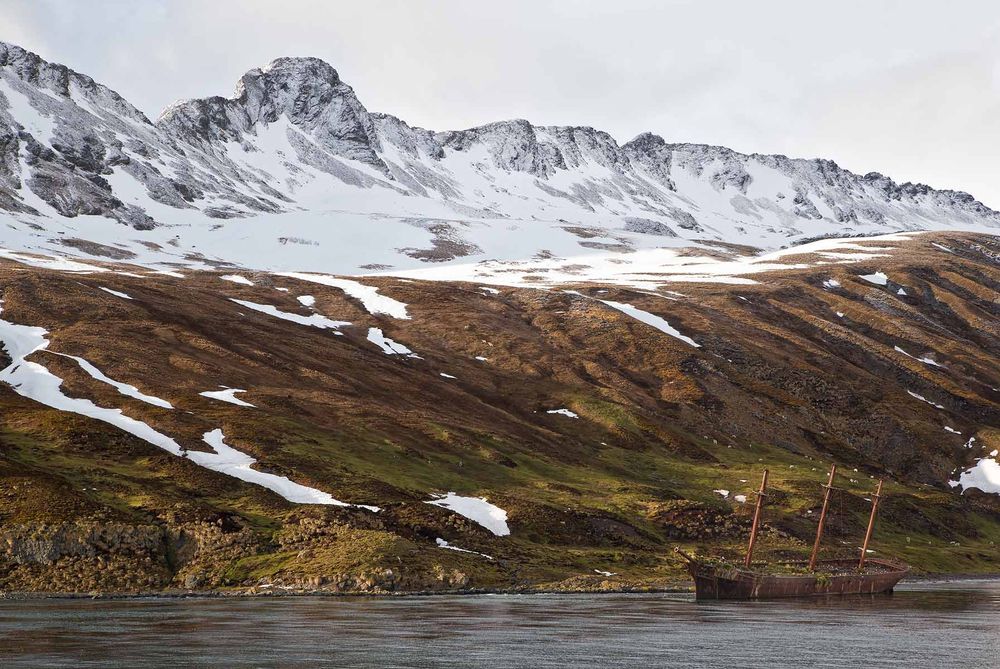 Shipwreck-at-Ocean-Harbour-against-mountains_E7T4263-Ocean-Harbour,-South-Georgia-Islands.jpg