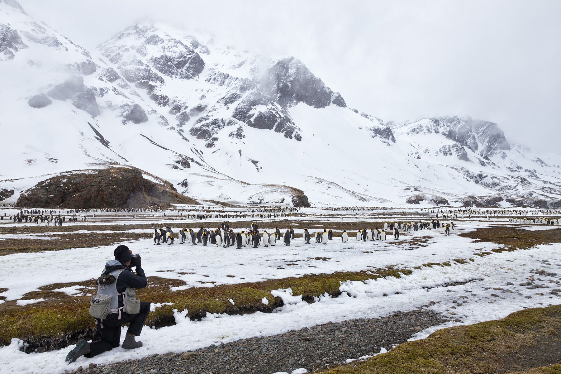 Clemens Vanderwerf in action_Q8R9838  Fortuna Bay, South Georgia.jpg