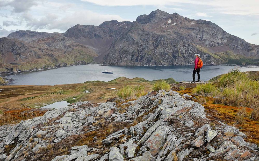 Hiker overlooking Gothul Bay_83A4540-Godthul, South Georgia Island.jpg