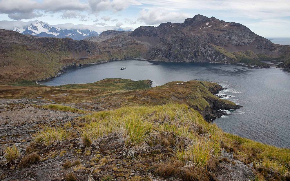 View on Gothul Bay_83A4614-Godthul, South Georgia Island.jpg