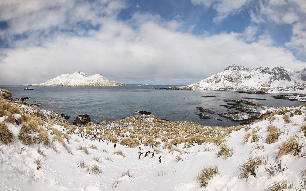 Cooper-Bay-overview-panorama.jpg