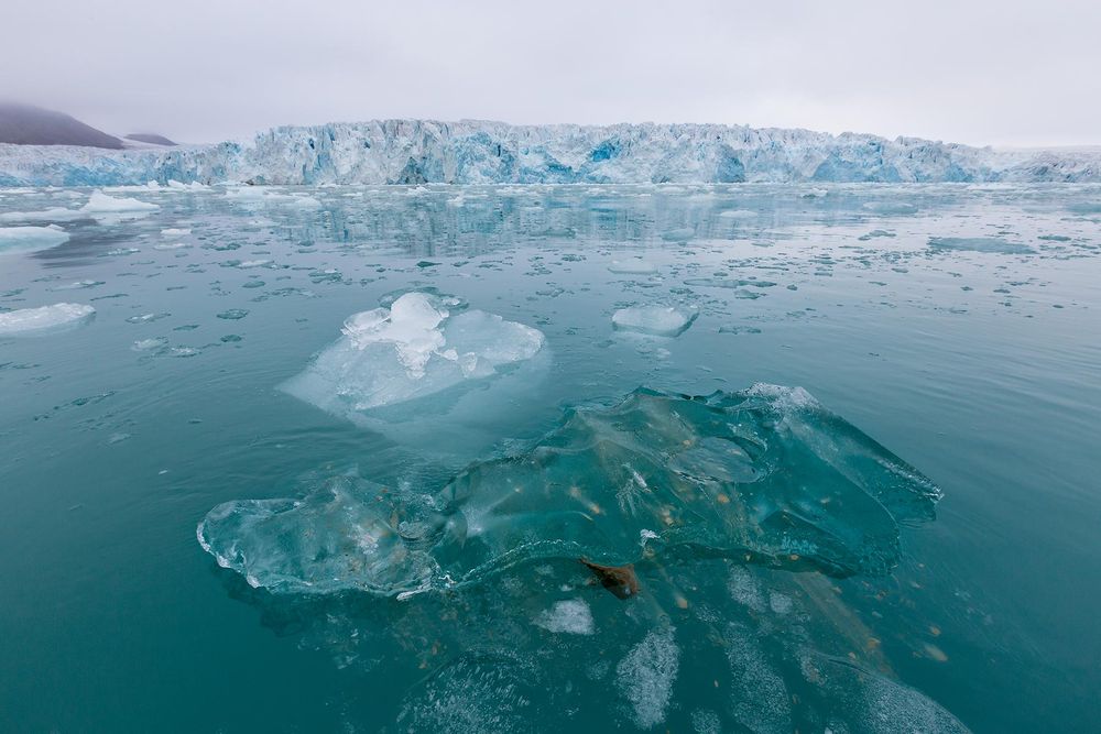 Clear-glacier-ice-floating-in-front-of-glacier_S6A3730-Lilliehookbreen,-Svalbard,-Arctic.jpg